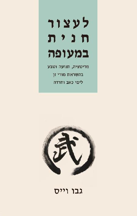 לעצור חנית במעופה